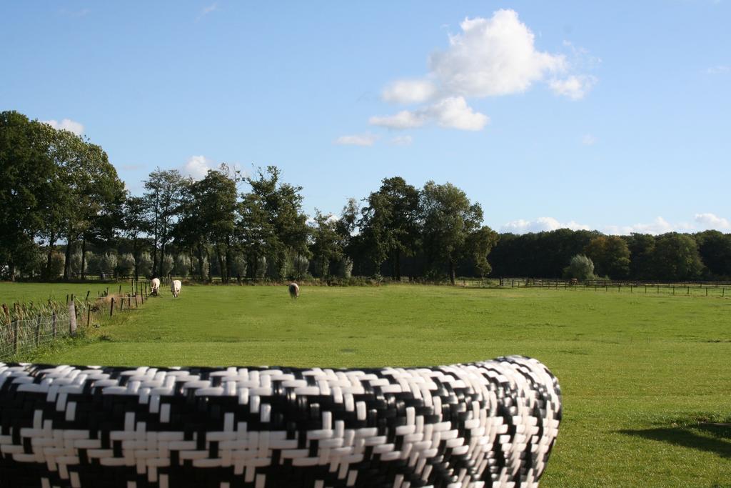 Zwaluwhof Bed and Breakfast Dalfsen Exterior foto
